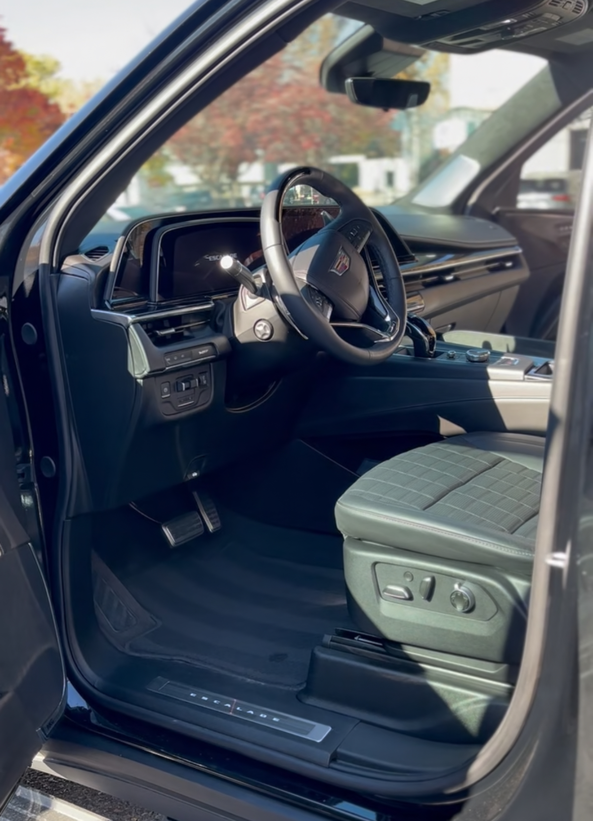 Professional car detailing