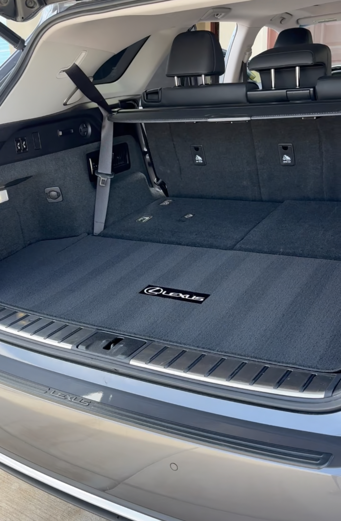 Professional detailing