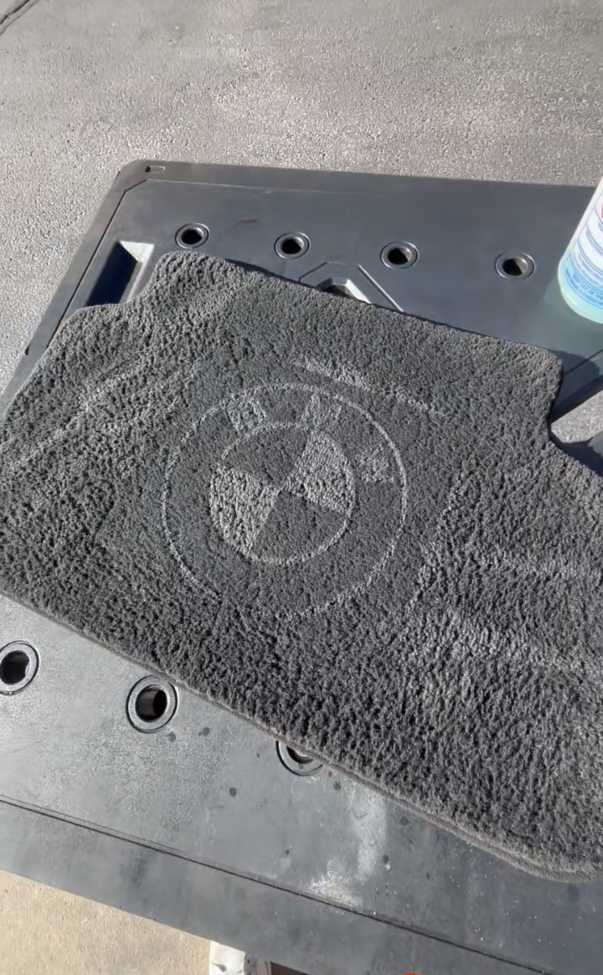 Professional car care