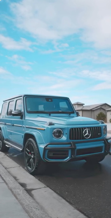 Professional detailing