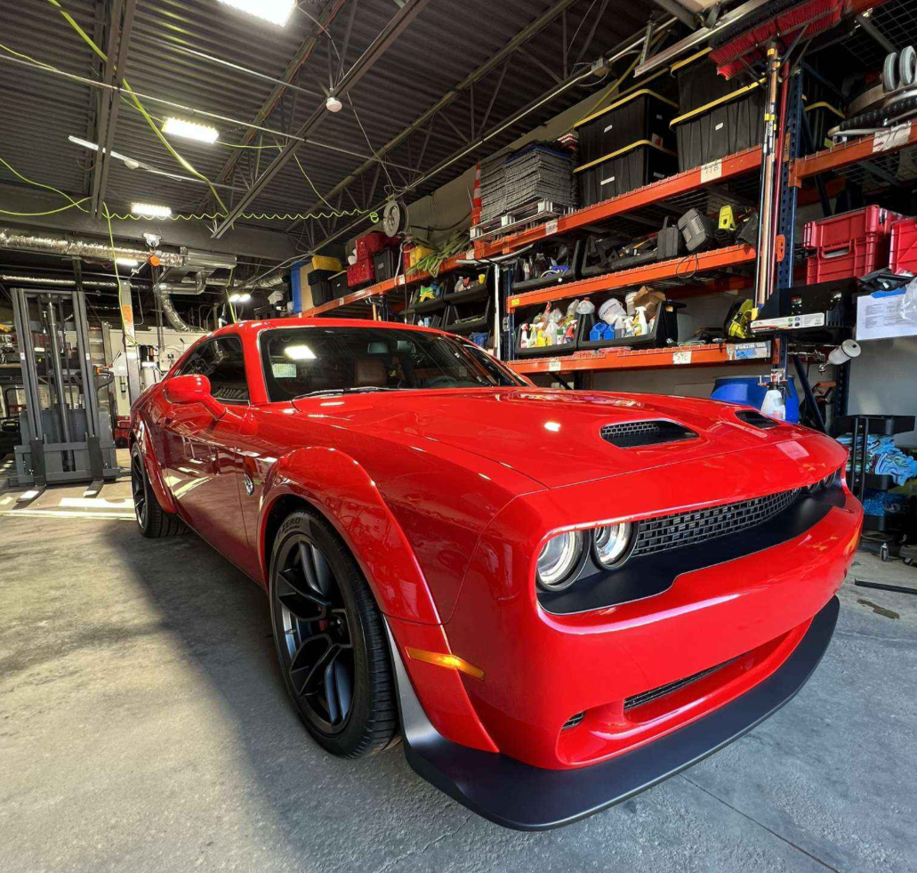 Professional detailing