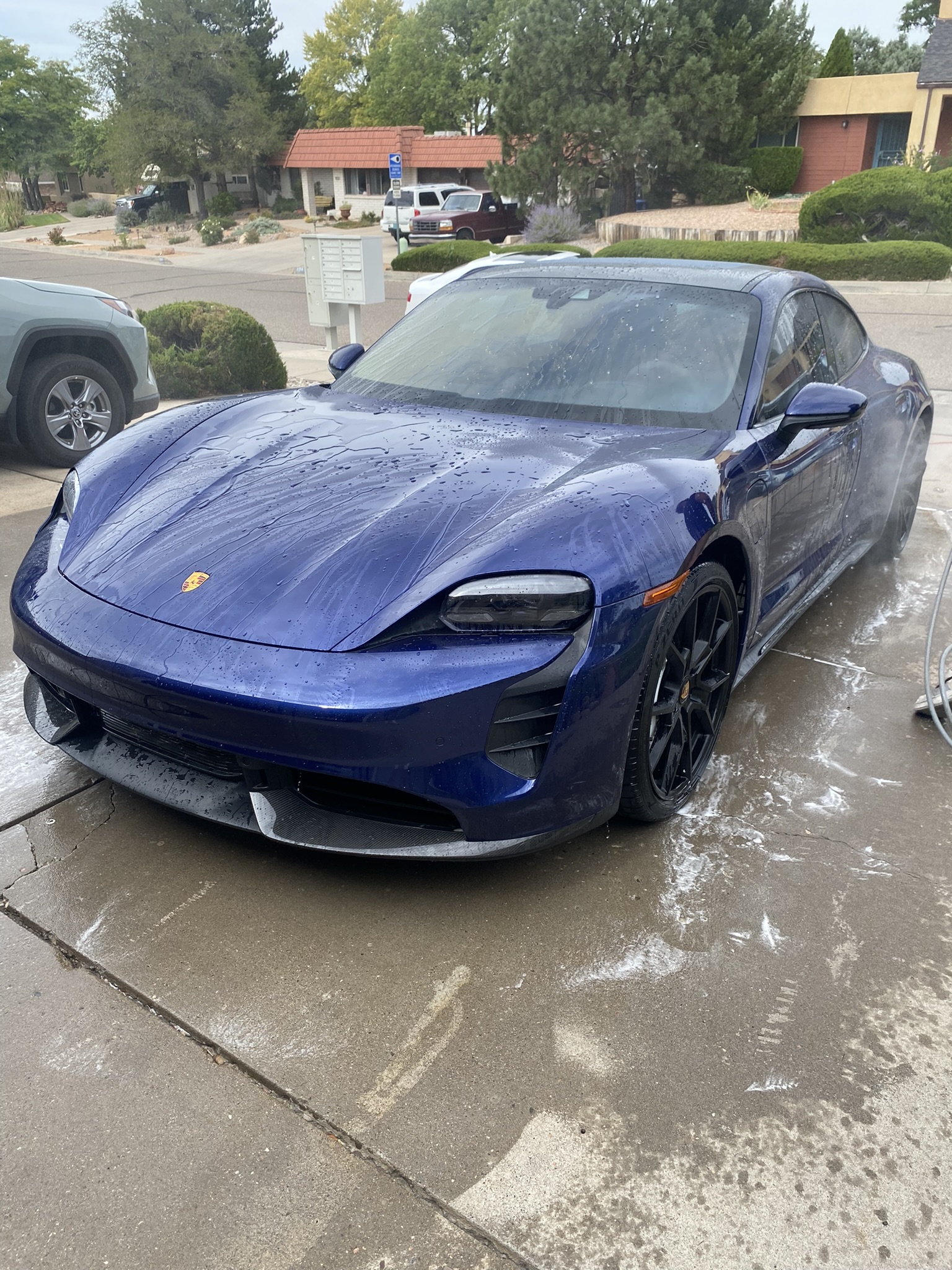 Professional detailing