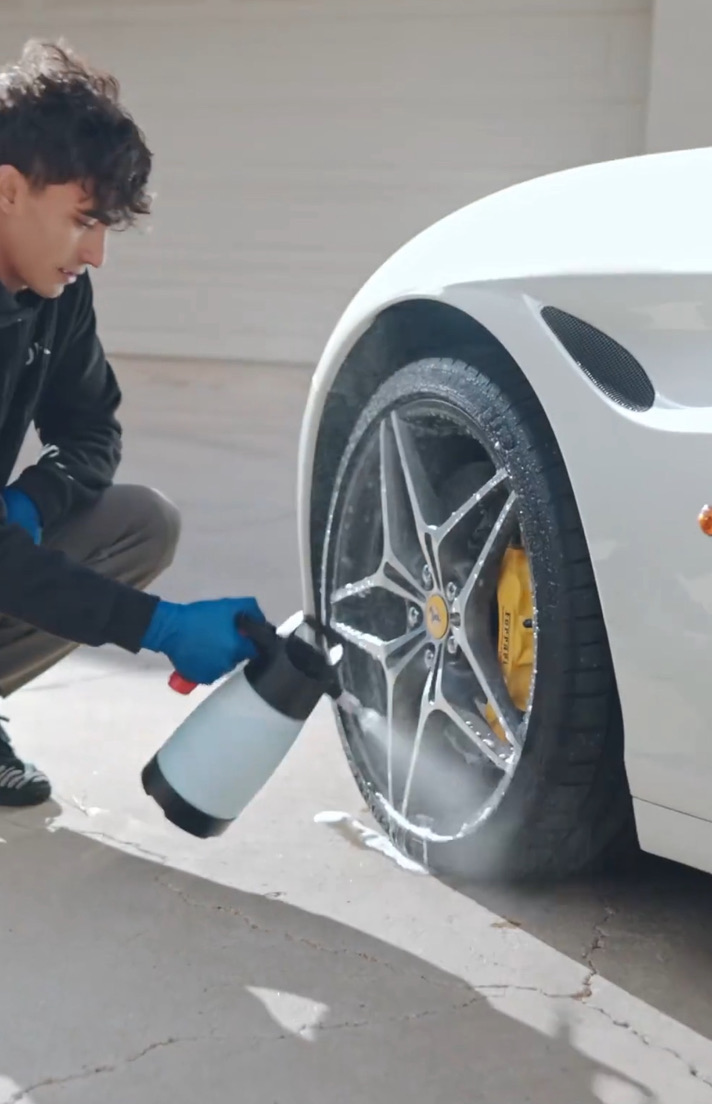 Professional detailing