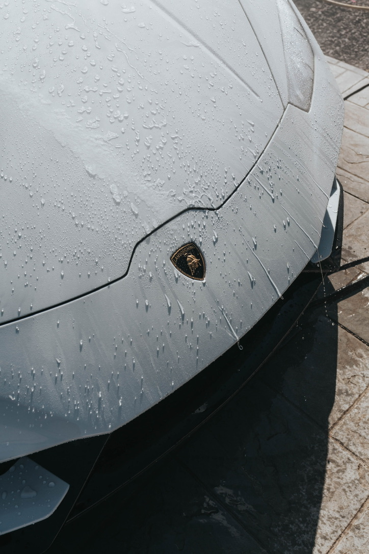 Professional car detailing